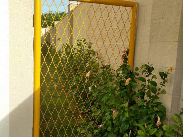 Portão 3